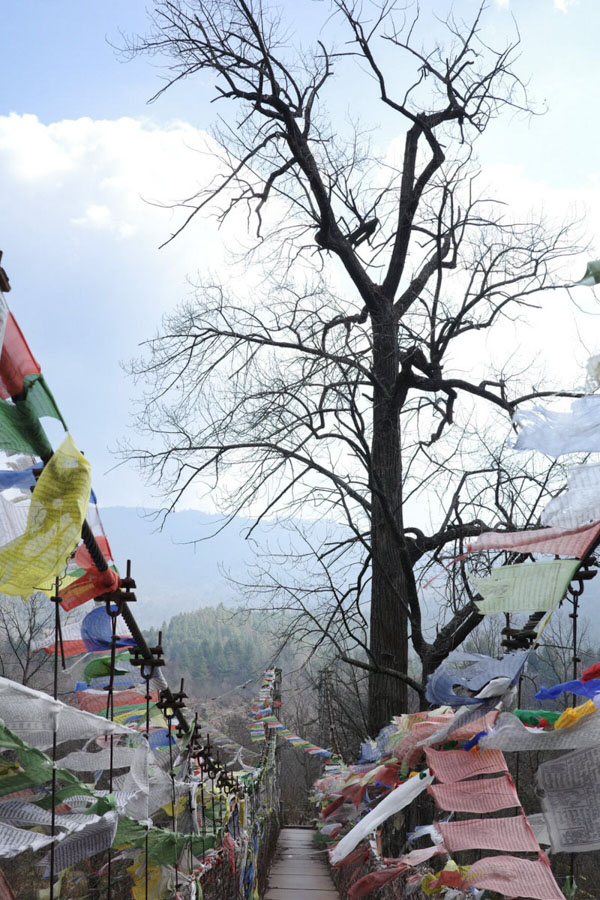 Bridge with prayer flags
