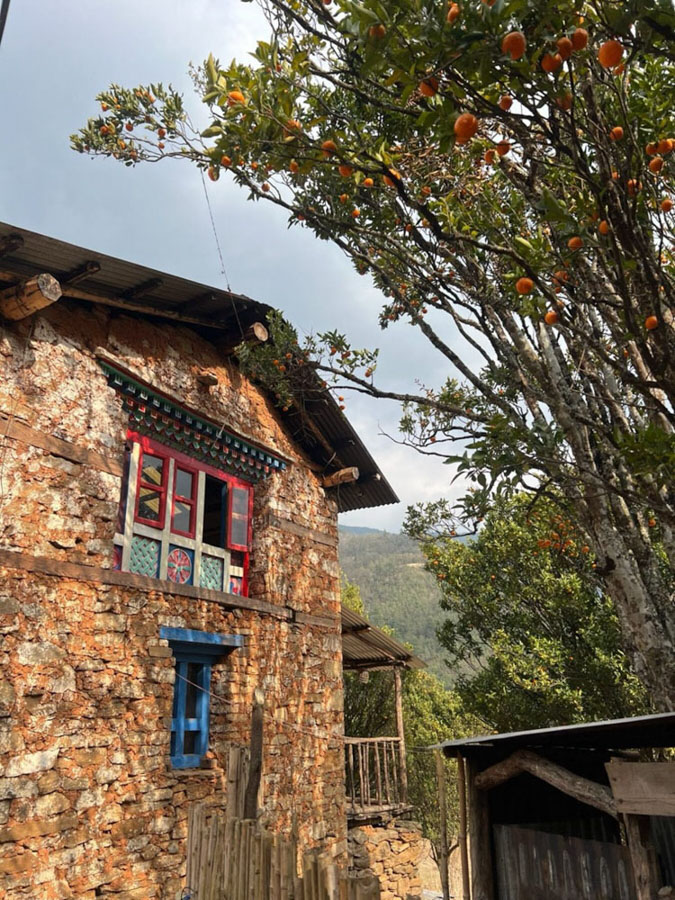 Damu Heritage building