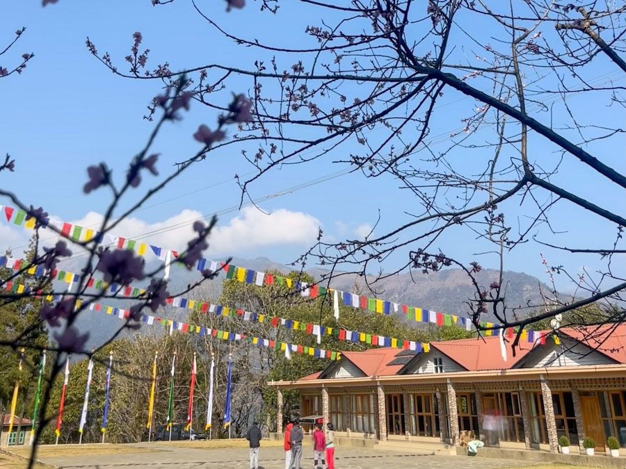 Life at Jhamtse Gatsal