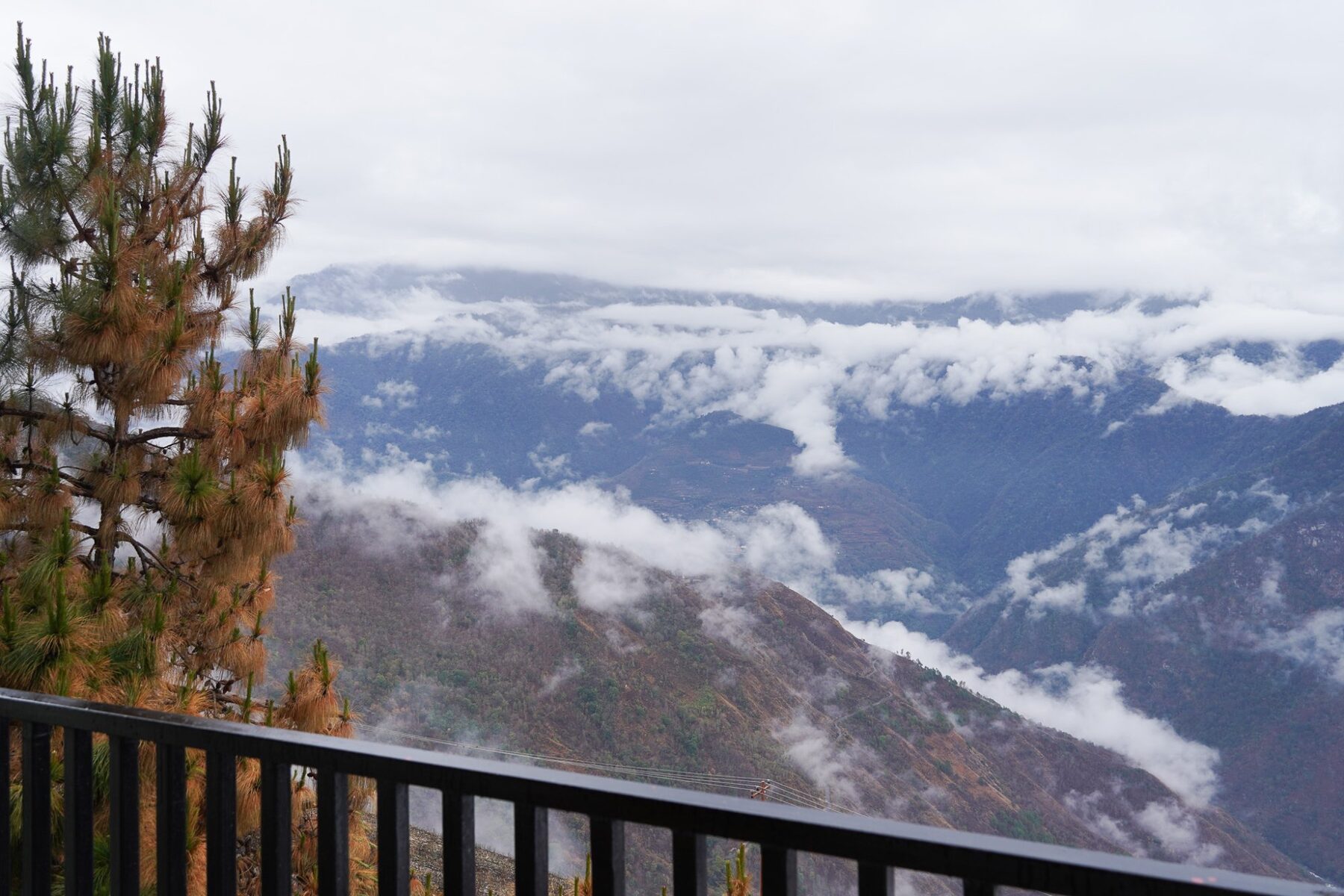 View from the guest room