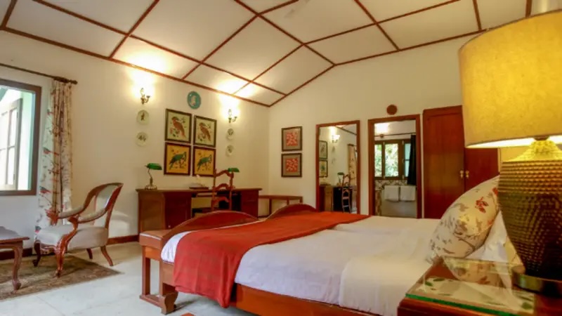 Tea Estate Stay